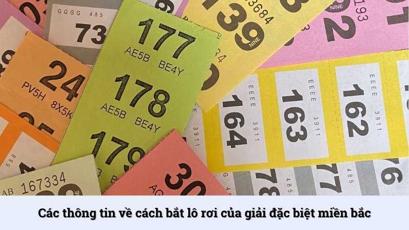 Thông tin sơ lược về cách bắt lô rơi của giải đặc biệt miền Bắc