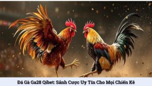 Đá gà Ga28 Qibet: Sảnh cược uy tín cho mọi chiến kê