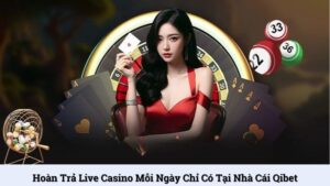 Hoàn trả live casino mỗi ngày chỉ có tại nhà cái Qibet