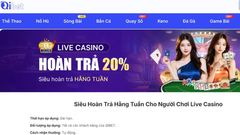 Tổng quan chương trình hoàn trả live casino