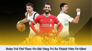 Hoàn trả thể thao: Ưu đãi vàng tri ân thành viên từ Qibet