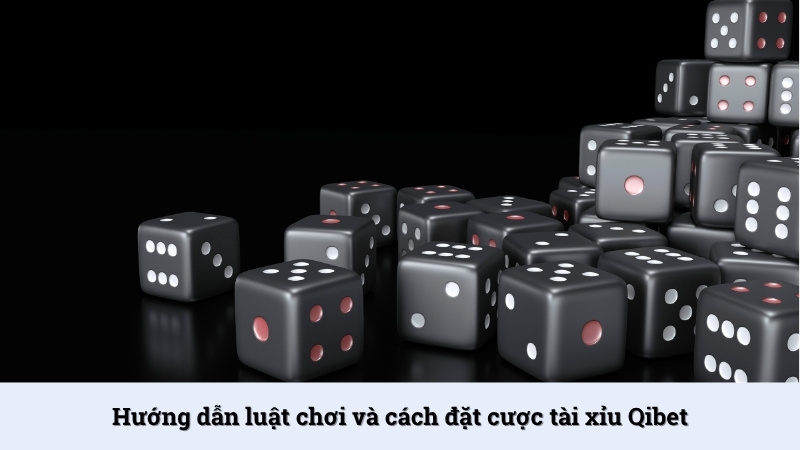 Hướng dẫn tham gia Tài xỉu Qibet