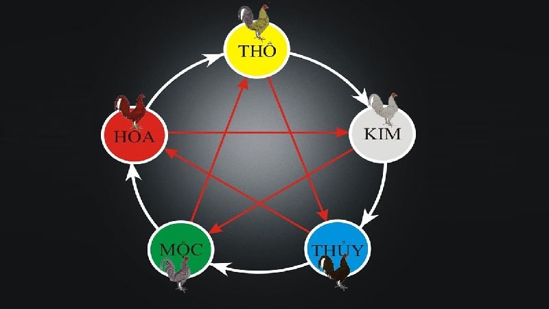 Xem ngày đá gà theo ngũ hành